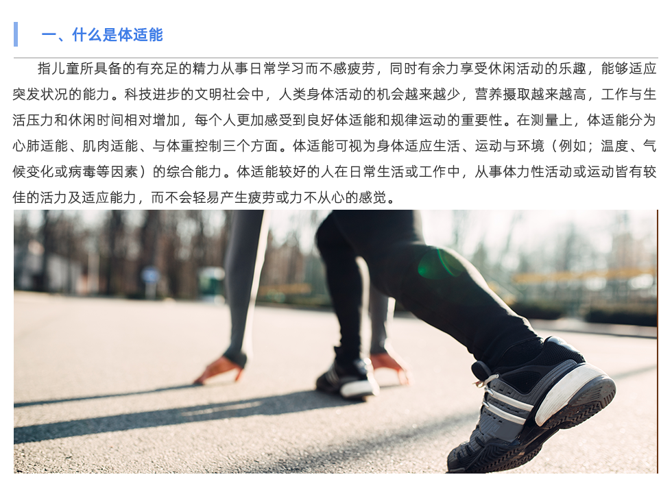 體適能測試儀