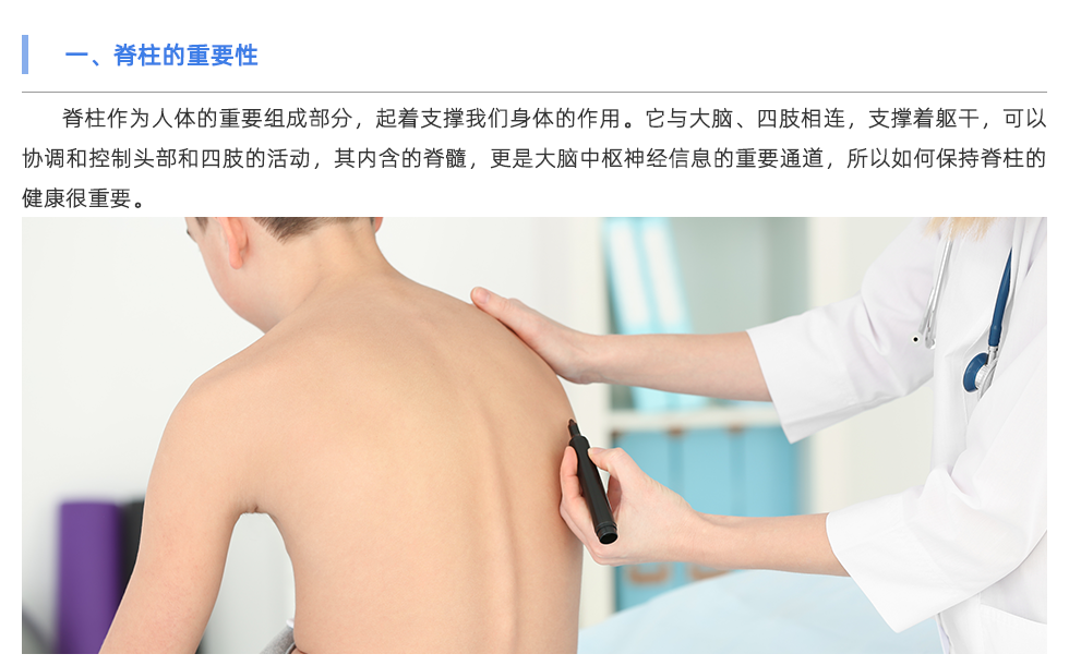 身體姿態(tài)檢測儀