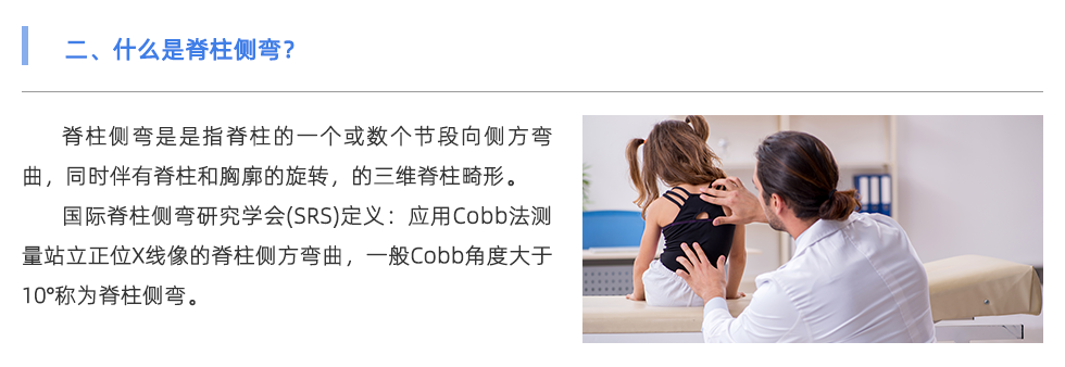 身體姿態(tài)檢測儀