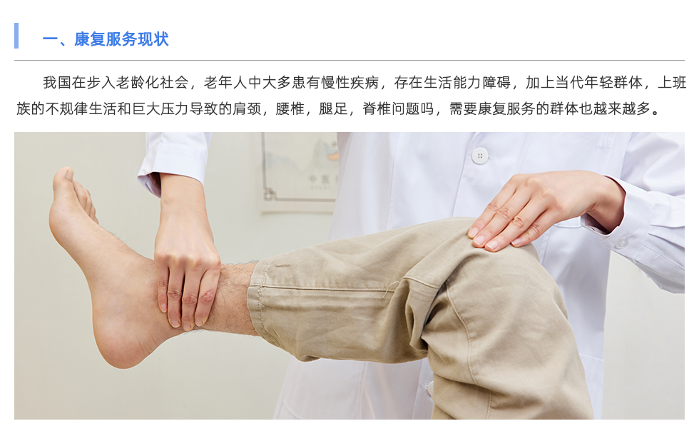 鞋墊機