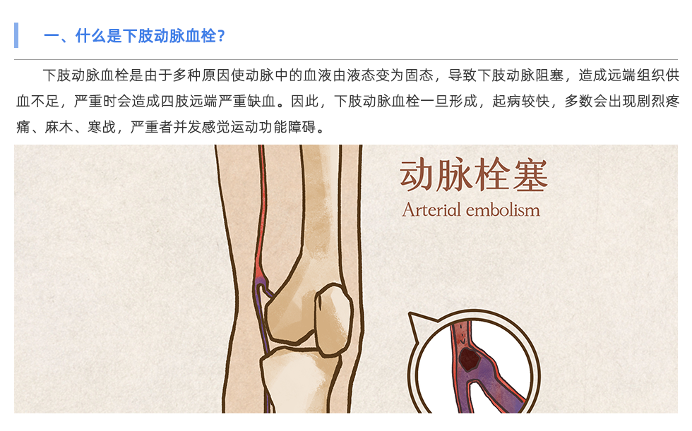 動(dòng)脈硬化檢測儀