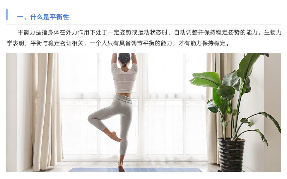 體能測試儀