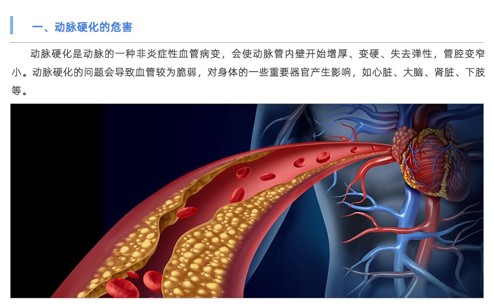 動(dòng)脈硬化檢測(cè)儀