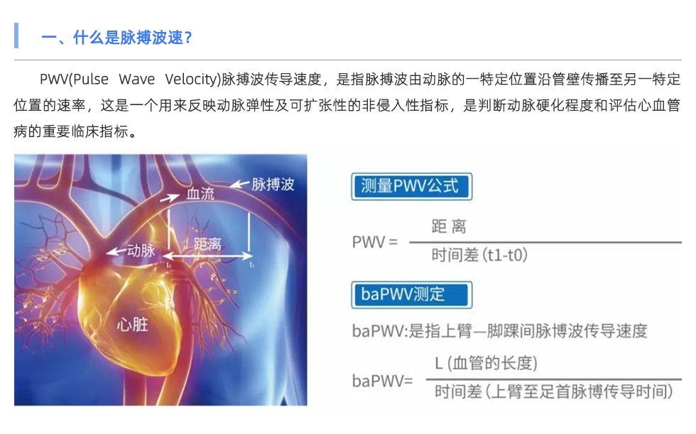 脈搏波速測(cè)定儀