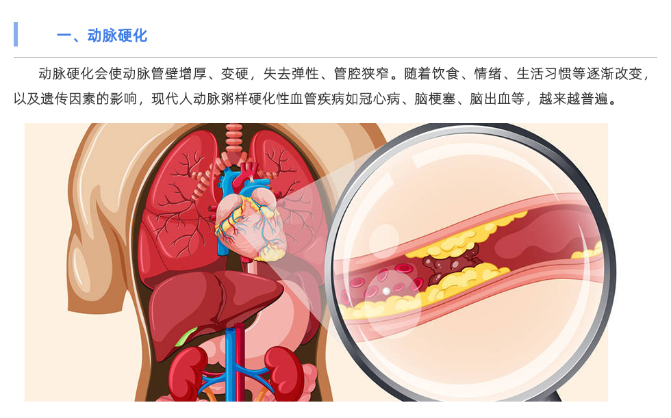 動脈硬化檢測儀