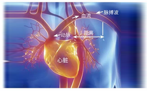 動(dòng)脈硬化檢測儀